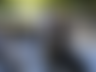 Primeiros selos ‘Carbono Neutro MT’ são entregues em Mato Grosso