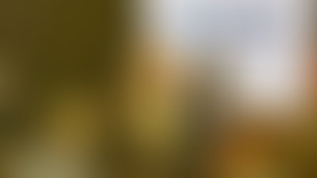 BR-163: Governo de MT autoriza repasse de R$ 440 mi para quitar dívidas com bancos