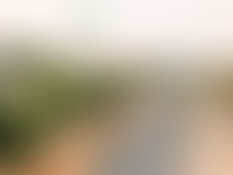 Apoiadores de Bolsonaro se manifestam e lotam ruas de Cuiabá