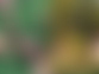 Gio Ewbank e Gagliasso publicam carta aberta após racismo com filhos: ‘Dói na alma’