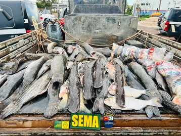 Mais de 250 kg de pescado irregular são apreendidos em MT