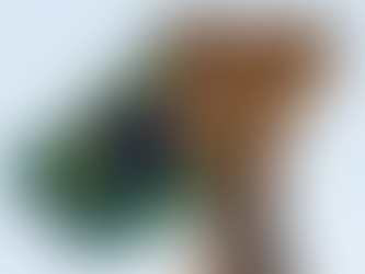 Ministro Alexandre de Moraes reduz em 90% acervo do gabinete em seis anos de atuação no STF