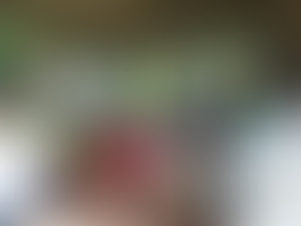 Agricultores do Distrito de Aguaçu aprendem sobre áreas degradadas e recebem mudas para plantio