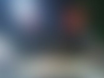 Caminhão de lixo com varal de calcinhas é flagrado em MT; veja vídeo