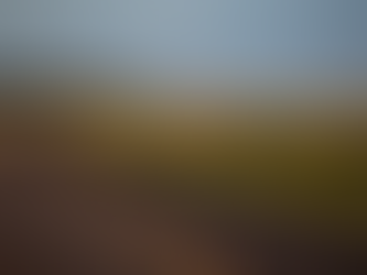 Governo do Estado pública ordem de serviço para conclusão da MT-129