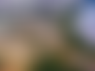 4° mês consecutivo | Rondonópolis gera 353 novos empregos e fecha mês com saldo positivo