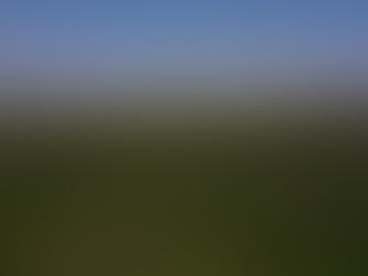 AMAGGI traz reconhecimentos internacionais à produção sustentável de soja em MT