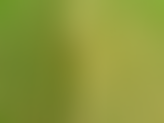 Nova ferramenta digital torna ágil a contratação de crédito ao produtor