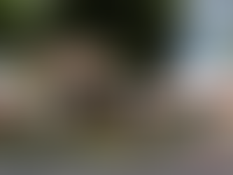 Réplicas de dinossauros são atração na Praça dos Carreiros