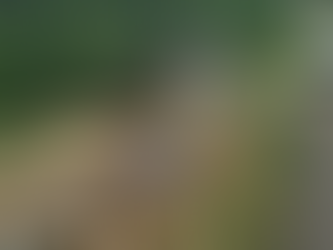 Jovem casal morre em MT e filha de 10 anos fica em estado grave