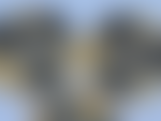 Nova espécie de fungo descoberta por pesquisadores de MT pode descontaminar mercúrio do solo