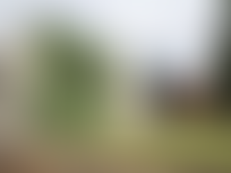 Dois coordenadores de MT estão na lista de exonerados da Funai