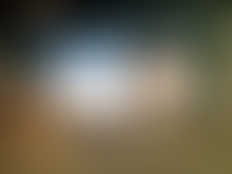 Motorista atropela vaca e capota carro em rodovia de MT