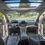 Miniatura: Ford Escape TITANIUM AT 4X4
