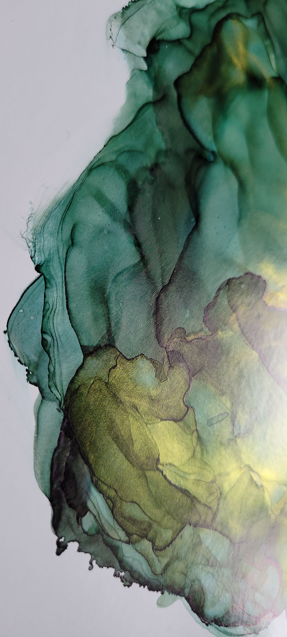 Miniatura: Abstract green and yellow fluid art on Yupo paper