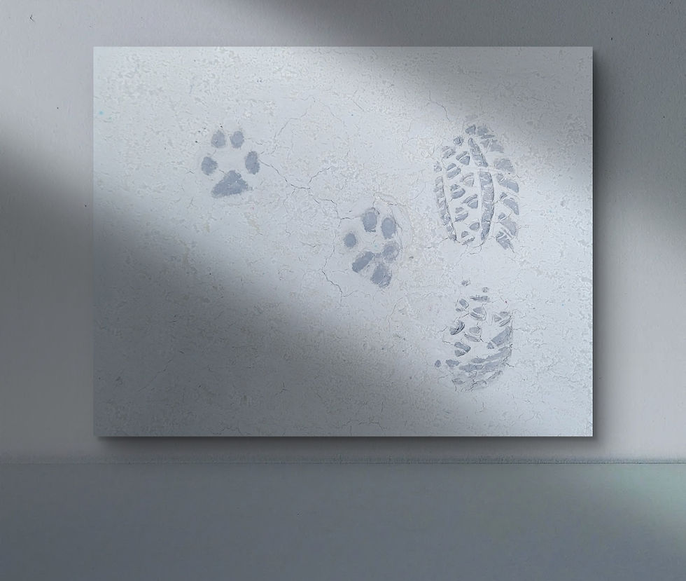 Thumbnail: Paw and shoe prints on Yupo paper