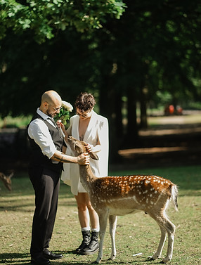 Nywlywed are feeding a deer in Aarhus during their elopement in Denmark