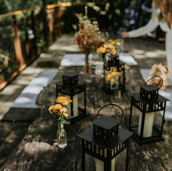 Forest ceremony setup by Danish wedding planner for nature elopement