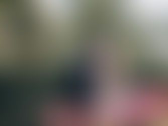 A beautiful Rose Garden wedding venue in Denmark.