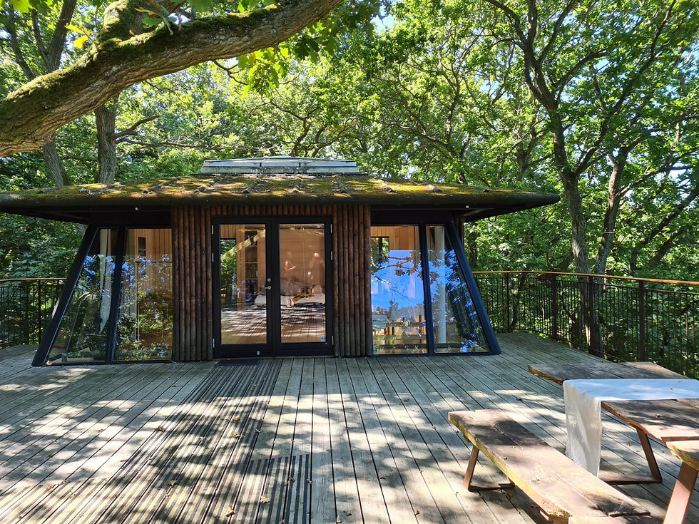 The tree-house hut for newlywed couples, a part of the all-inclusive wedding package for two for their adventure wedding in Denmark.