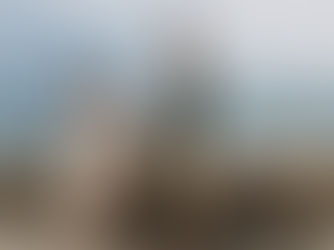 Anika & Grant Eloping With Their Dog