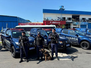 Por que toda cidade deveria criar e estruturar a sua Guarda Municipal?