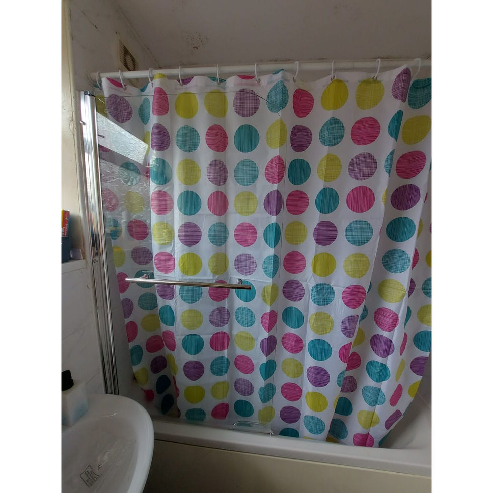 Shower curtain