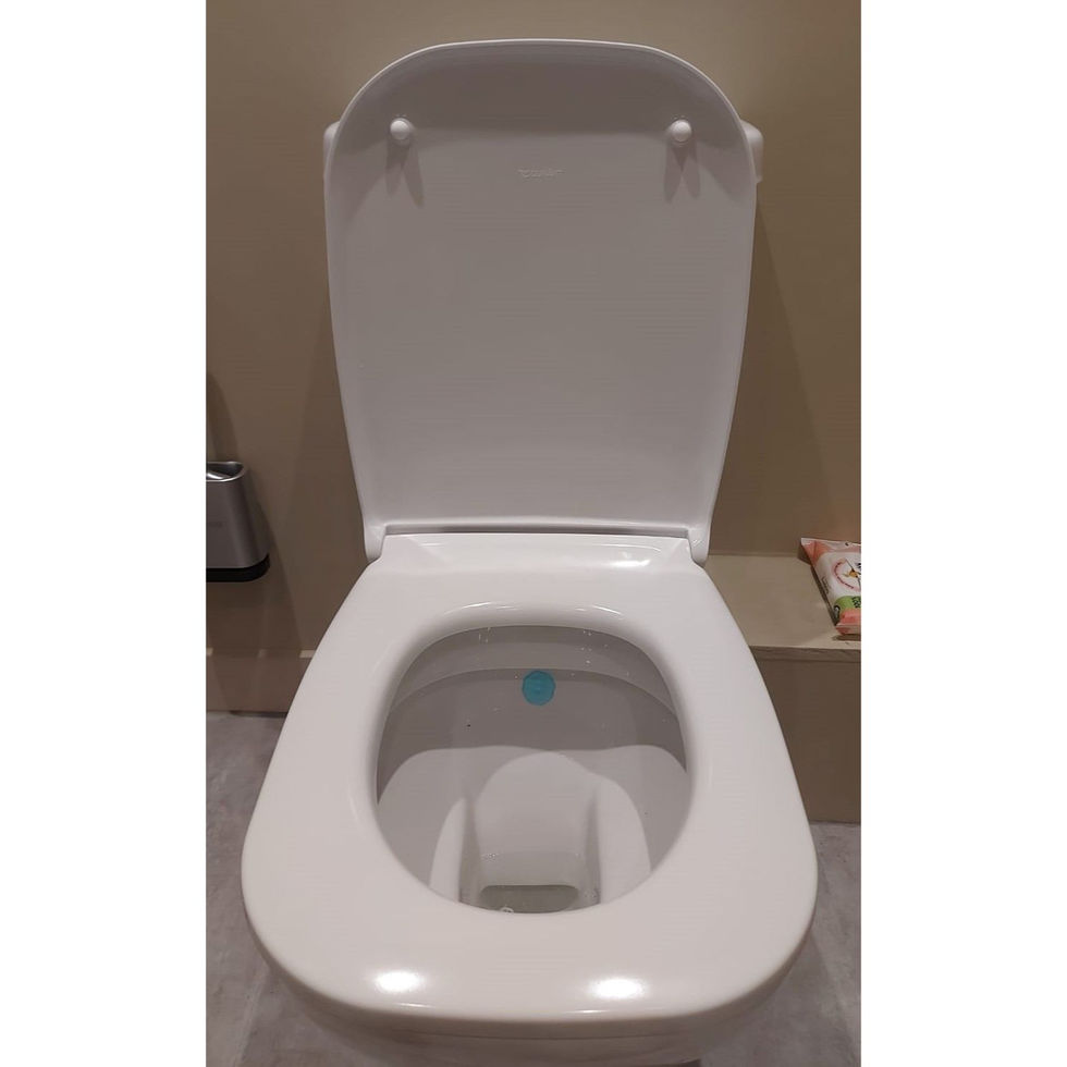 New toilet seat