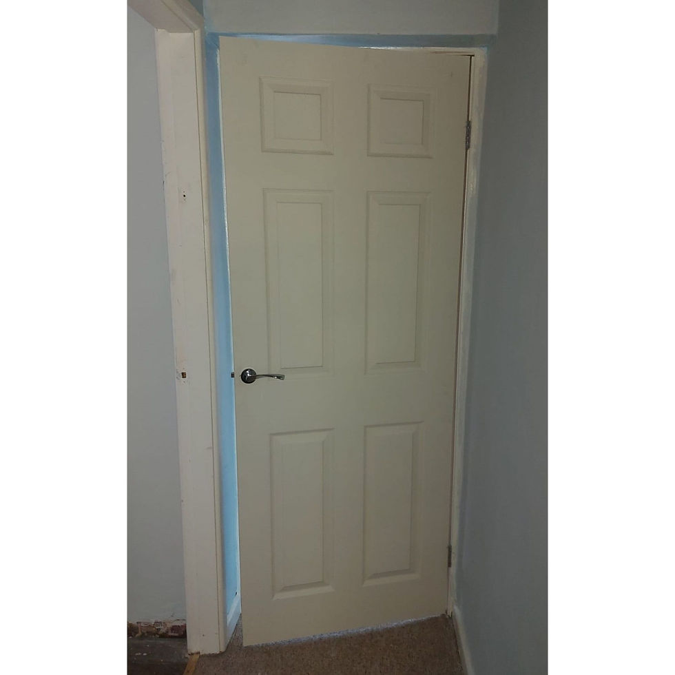 Lincoln 6 panel door