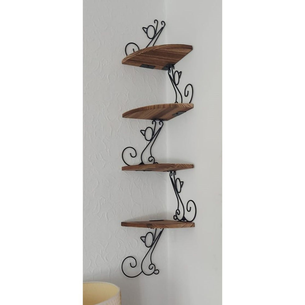 Cute cat shelving I put up