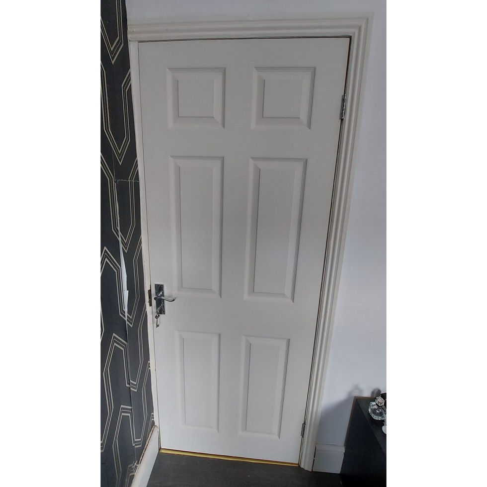 Lincoln 6 panel door