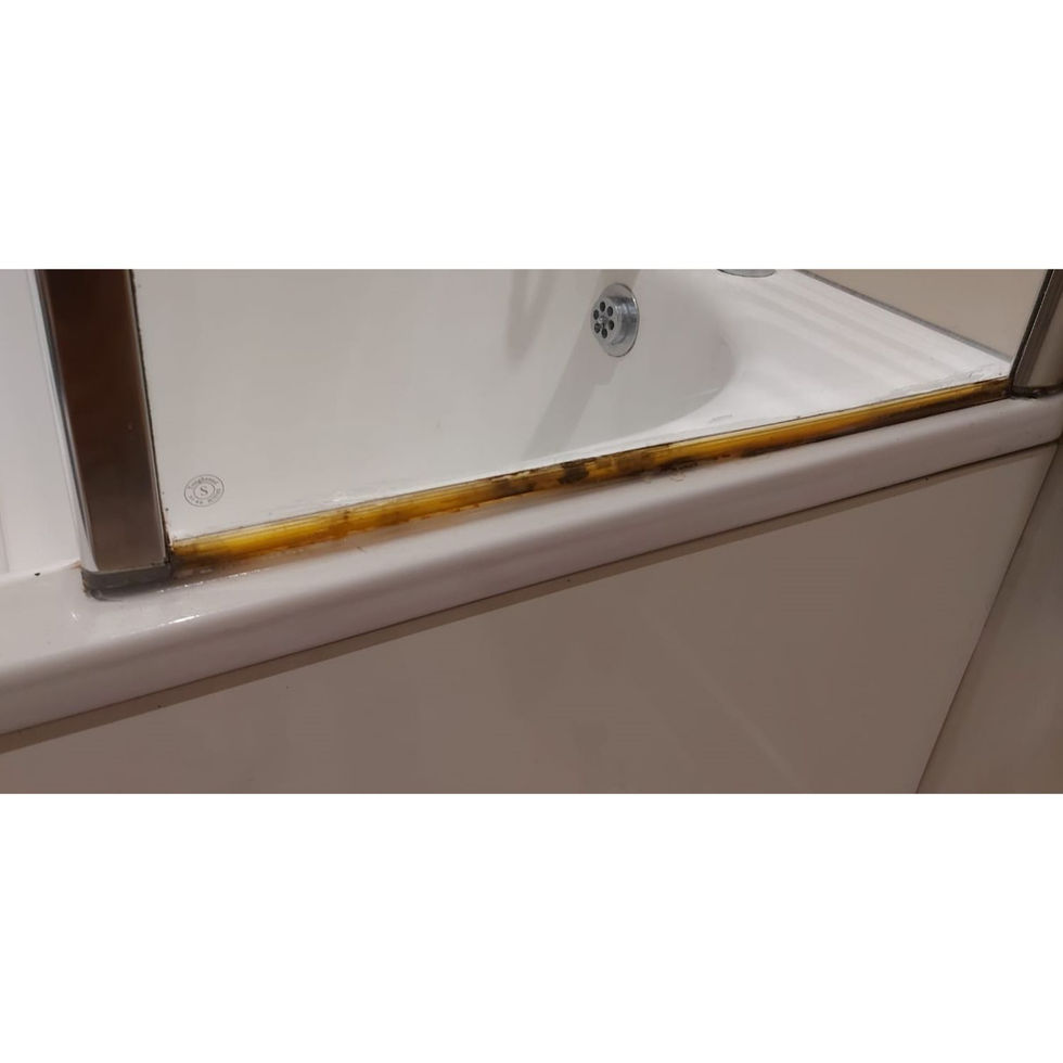 The old seal and strip that needed replacing