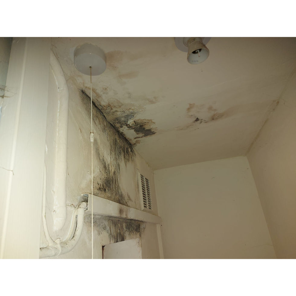 The old ceiling and walls