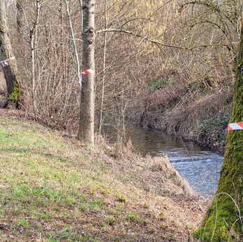 Natur am Altbach vernichten