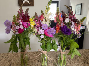 Discover Organic Flowers at Blooms by Lo