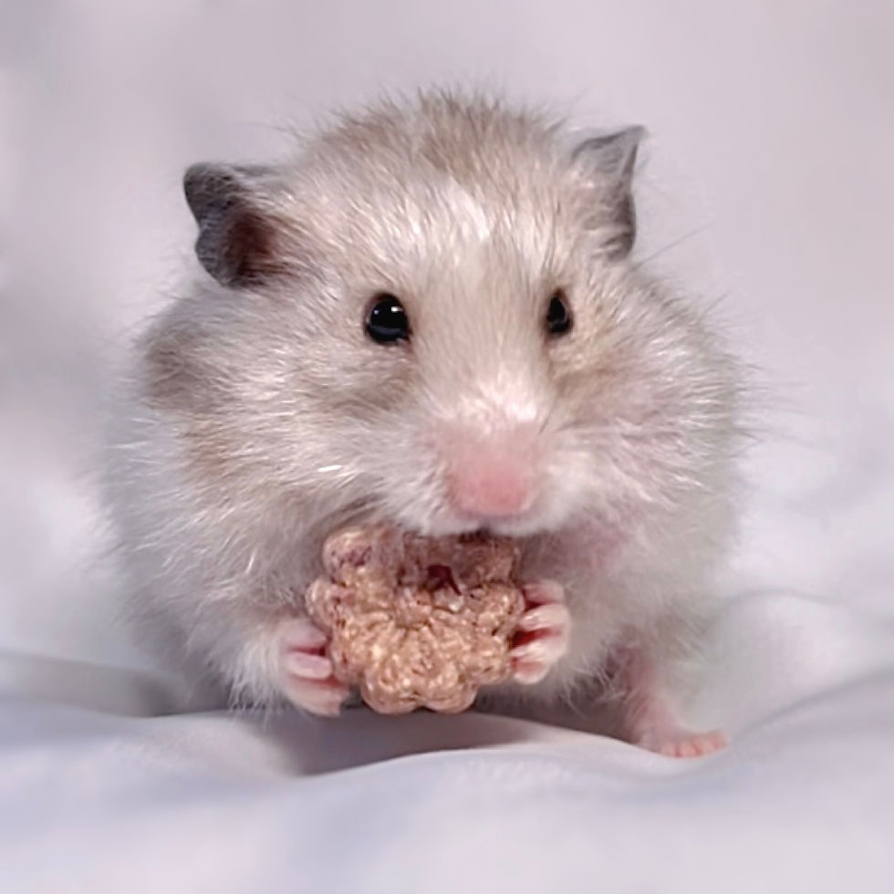 Thumbnail: Wagashi