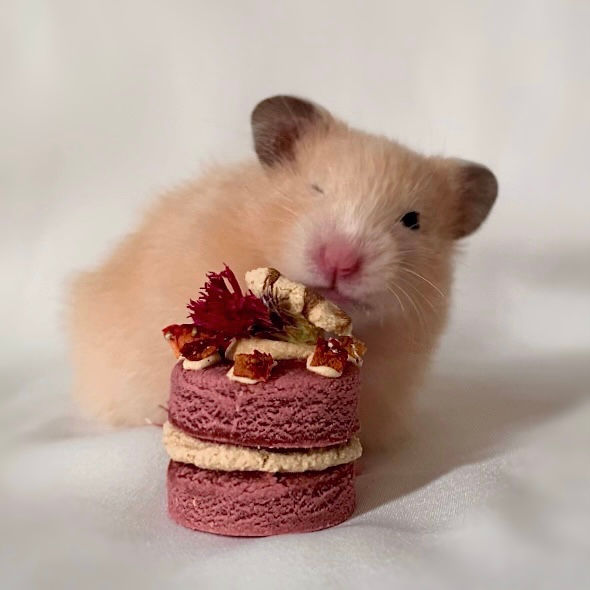 Thumbnail: Summer Berry Cake