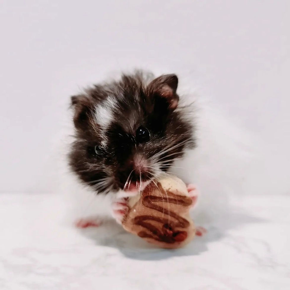 Thumbnail: Valentine Pralines