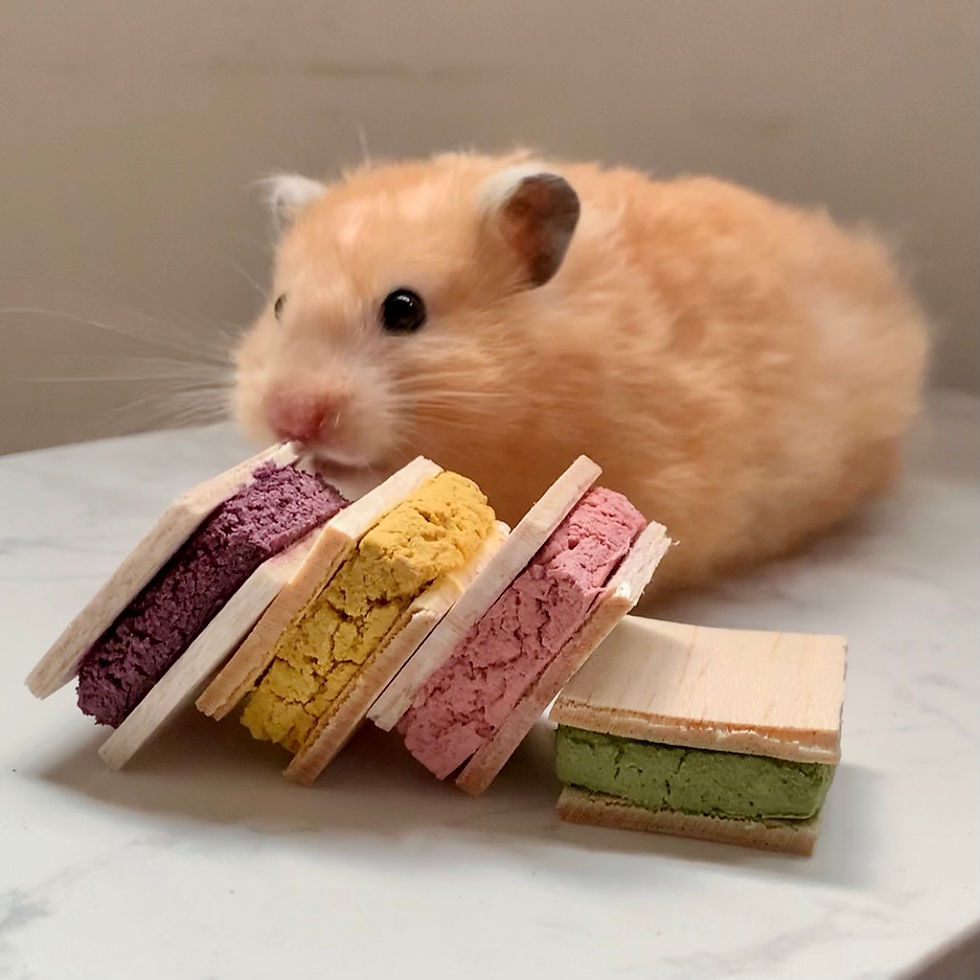 Thumbnail: Ice Cream Sandwich