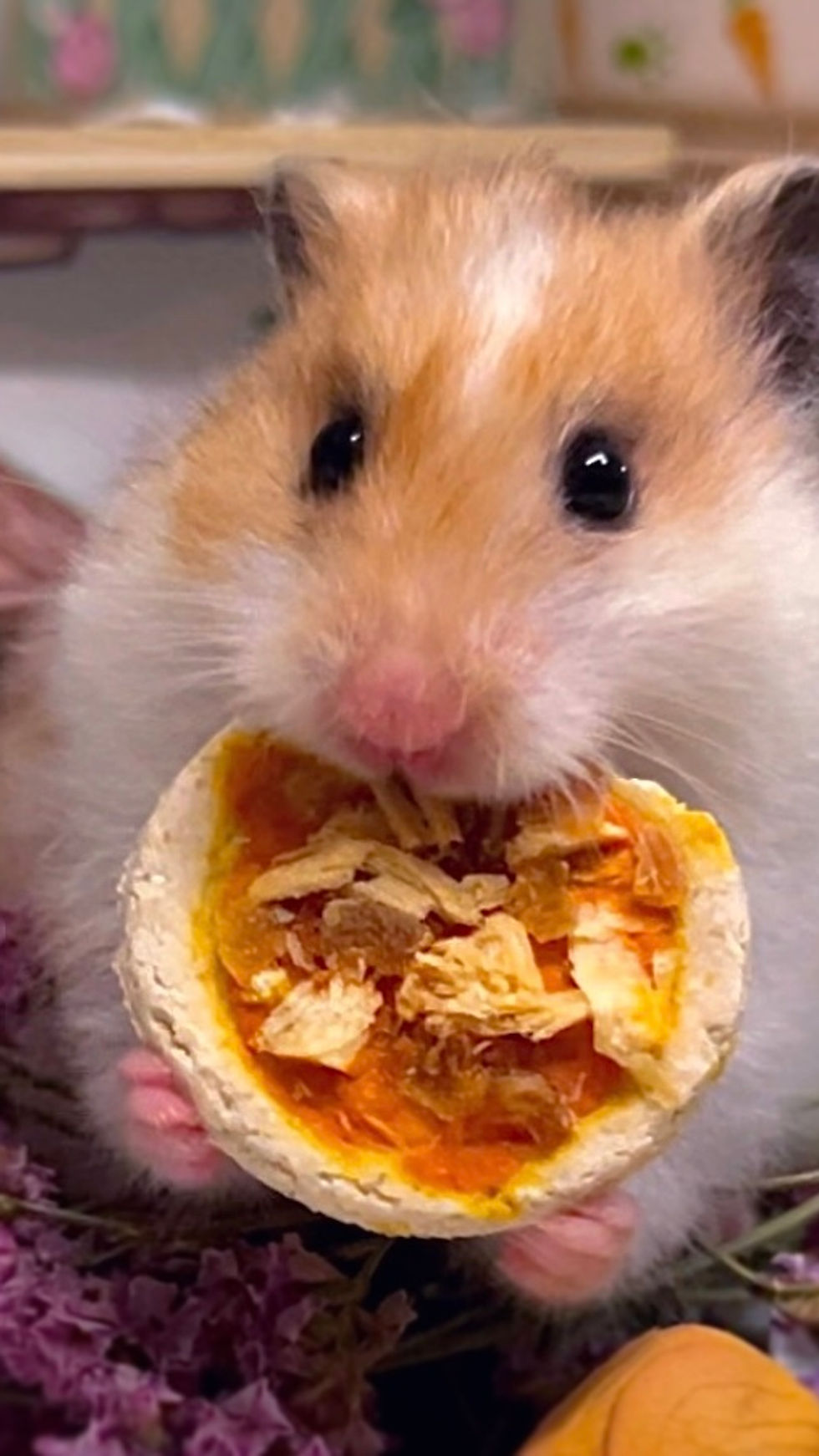 Thumbnail: Mini Hawaiian Pizza