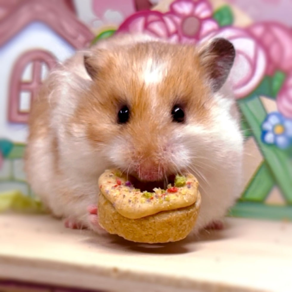 Thumbnail: Funfetti Donuts