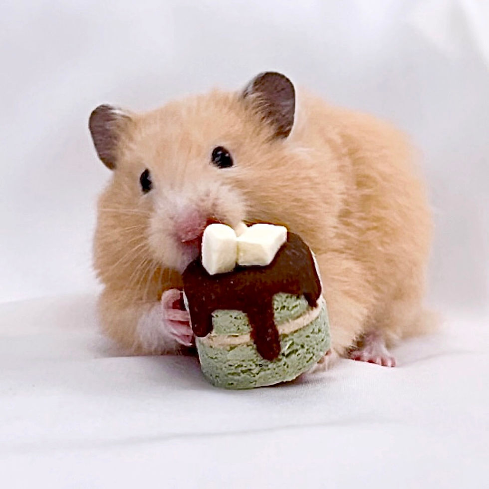Thumbnail: Edamame Cake