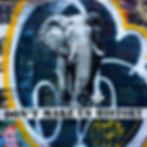 Don't make us History - Elephant