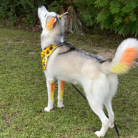 ARI 2021 2_edited.jpg