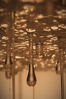 Drops of honey_edited.jpg