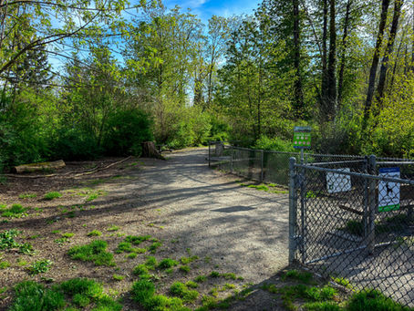 Entrance to Shaughnessy Park Off-Leash Dog Area in Port Coquitlam with fenced dog park area and gravel walking path