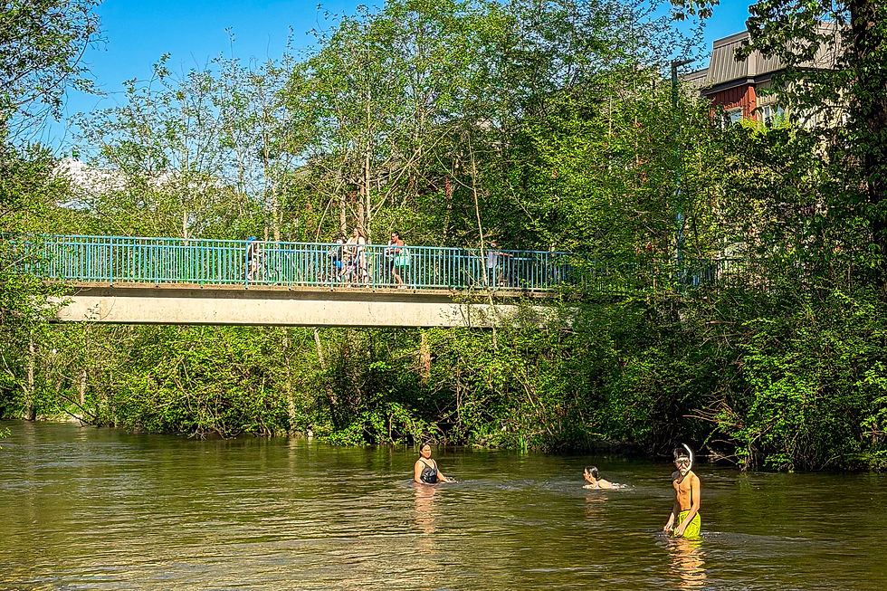 People swimming in the Coquitlam River near Patricia Avenue bridge in Port Coquitlam