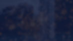 Feedback.jpg