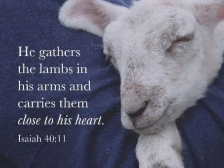 Consider God’s ways.