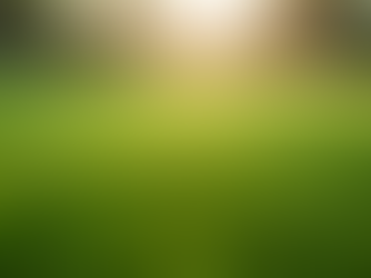 Expert Lawn Mowing: Enhance Your Property's Curb Appeal